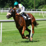 ZE Turf et Equidia : Comment Parier sur les Courses en Ligne