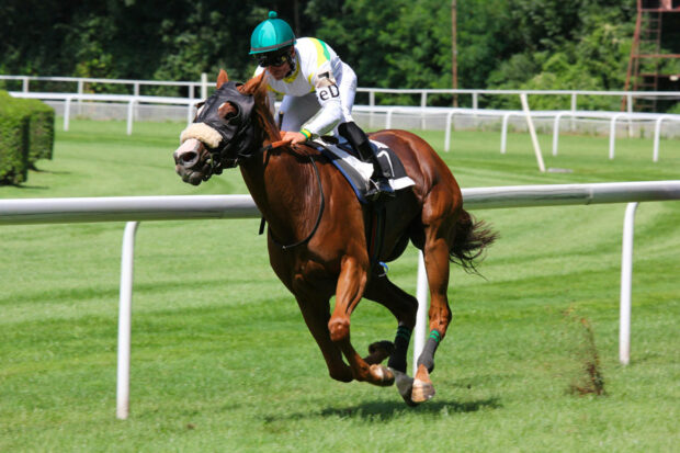 ZE Turf et Equidia : Comment Parier sur les Courses en Ligne